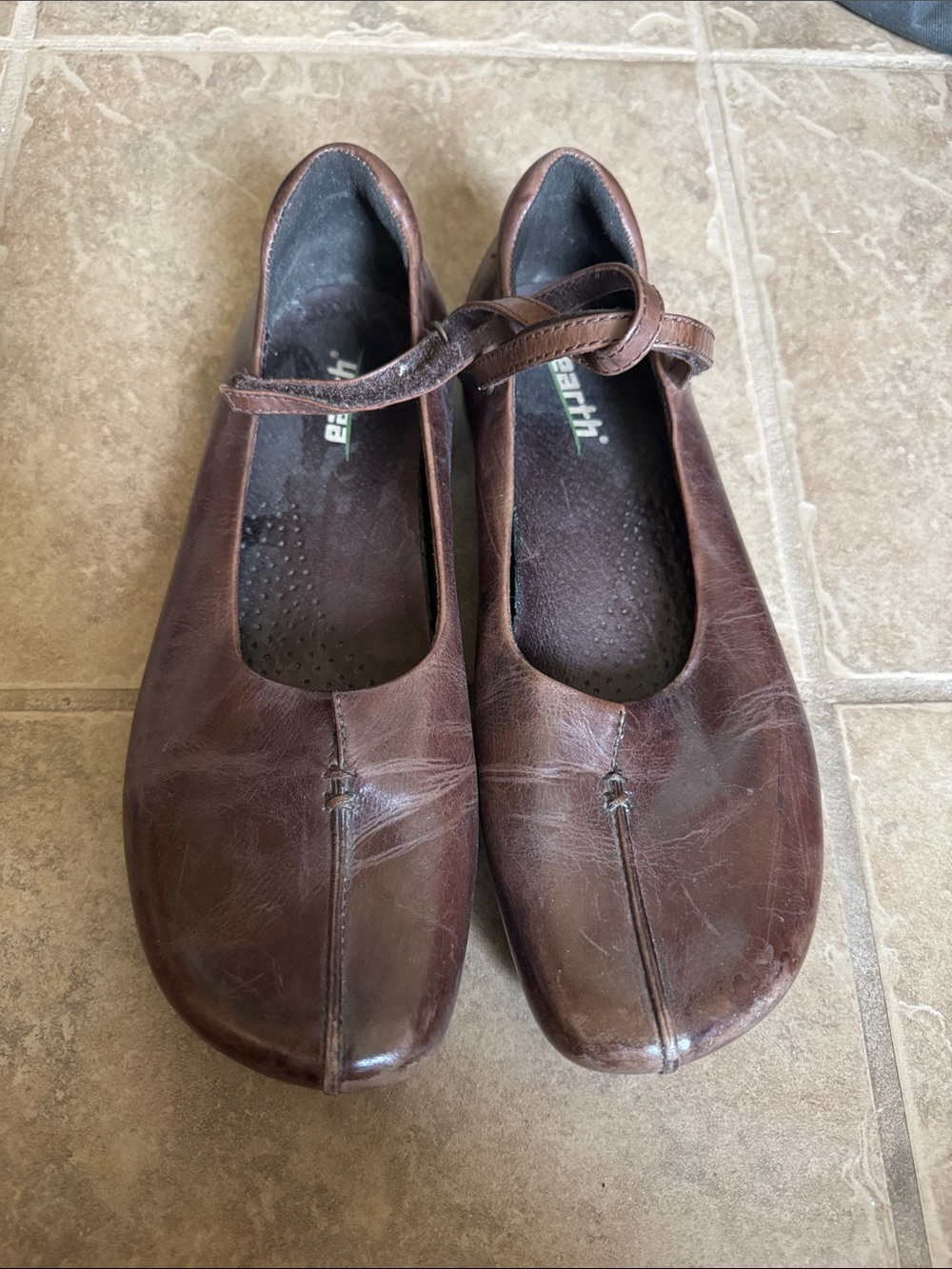 Earth Women's Brown Leather Mary Jane Flats with Strap